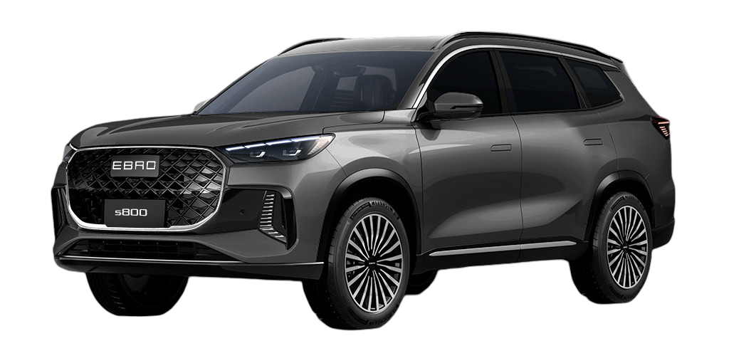 Nuevo EBRO s800 Luxury Color Gris Bambu