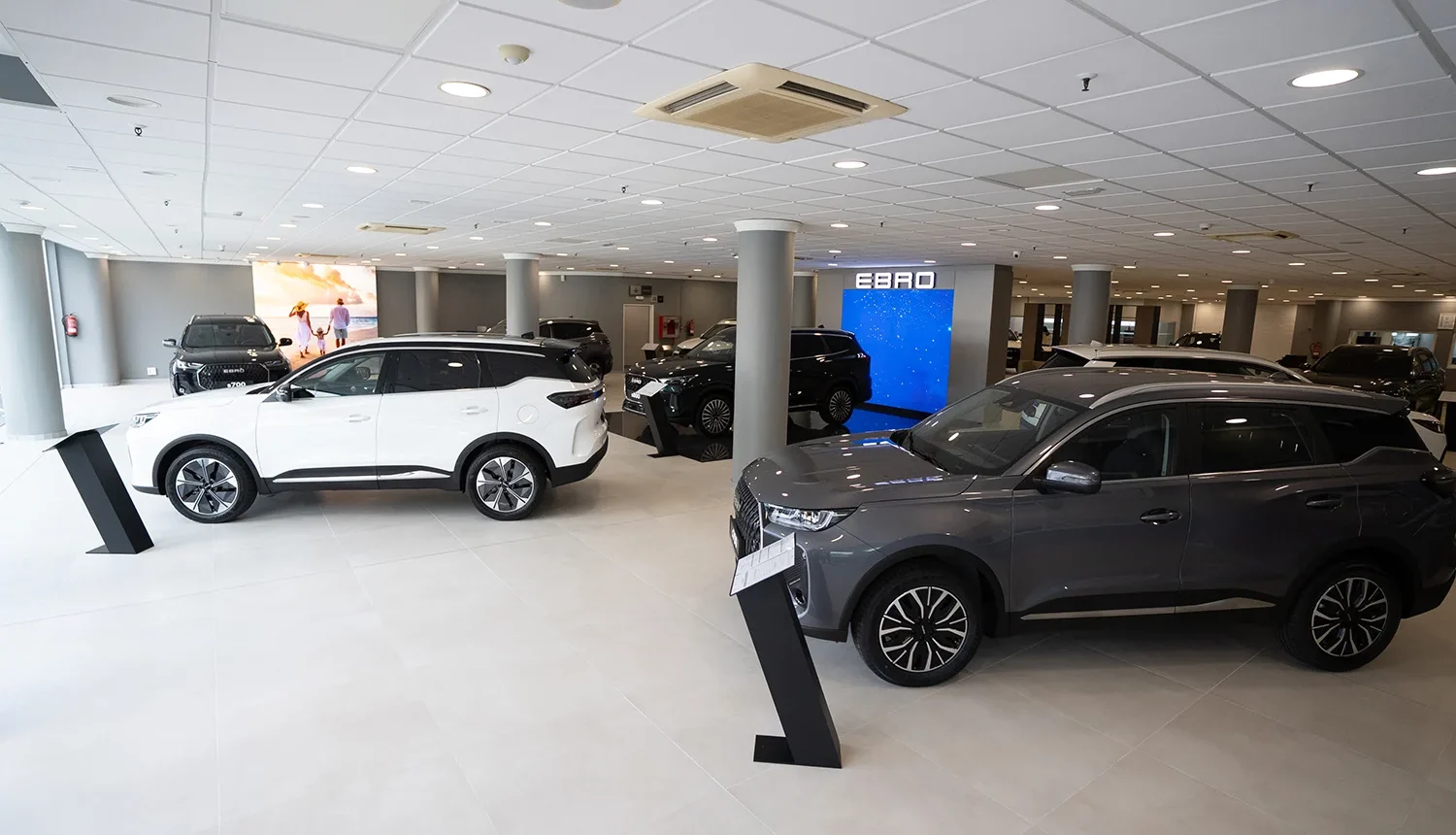 Interior de las instalaciones de EBRO Grupo Rafael Afonso con vehículos en exposición